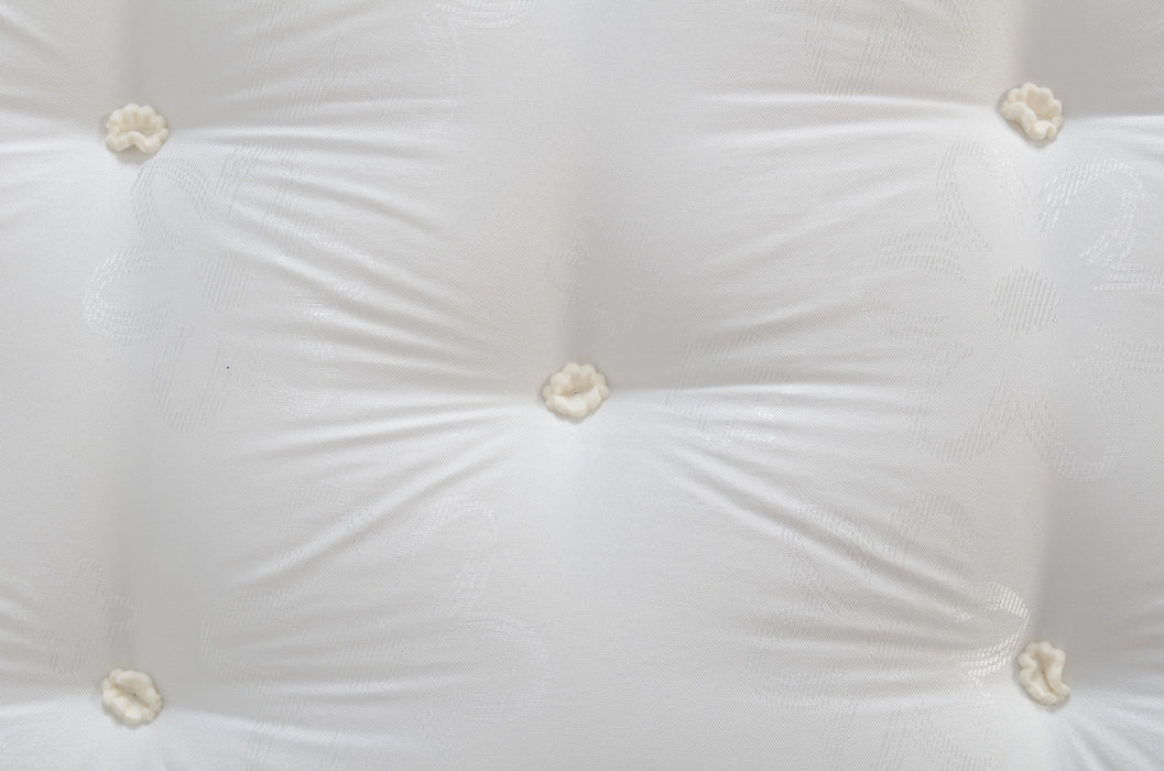 Solar Ortho 4'6" Mattress Ivory